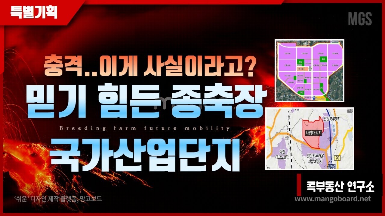 충격..이게 사실이라고?│믿기 힘든 종축장 국가산업단지│완벽 분석│콕부동산 연구소