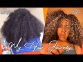 My Natural Hair Journey + Tips!