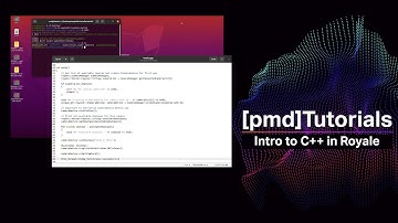 pmd Tutorials - Build your own C++ Depth-Sensing Application with Royale and a pmd 3D Camera
