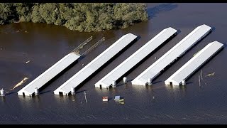 Millions of Chickens Feared Dead at Factory Farms in Wake of Hurricane Matthew