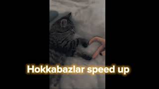 Hokkabazlar speed up Resimi