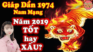 Tử Vi 2019 Tuổi GIÁP DẦN 1974 Nam Mạng, MAY MẮN Về Tiền Bạc, Tài Lộc Bừng Sáng Hay Không?