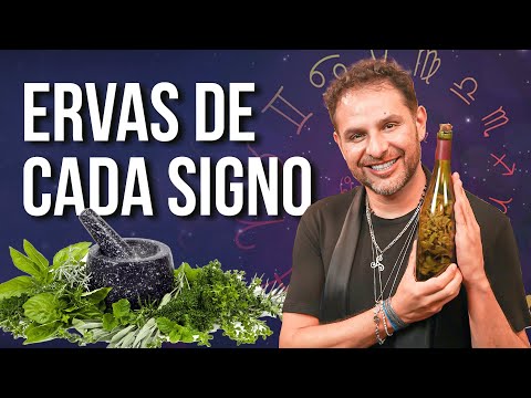 A MAGIA DAS ERVAS DE CADA SIGNO | com Daniel Atalla