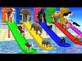 Dont break the wrong wall with long slide elephant cow lion gorilla cat wild animals cage game