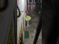 हैलो डियर# Livehighlight#trending #viral #ytshorts #shorts #mamata'sदेशीकिचन #mamata'sदेसीकिचन #yt