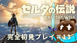 【ゼルダの伝説 ブレス オブ ザ ワイルド】突撃！隣の晩ごはん！ハイラル城編！【個人Vtuber野田貫なも】