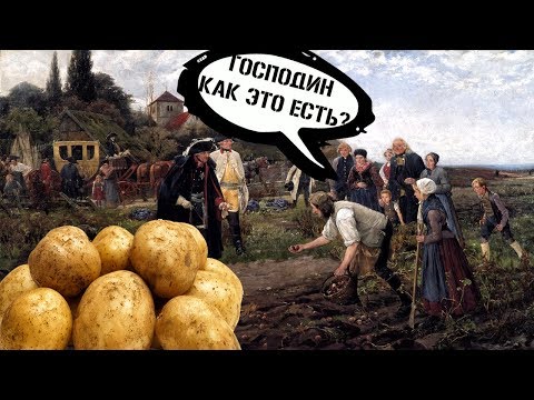 Картофельные бунты в России.Почему русские  не хотели есть картошку?
