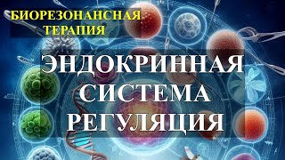 Эндокринная Система  Регуляция💎Биорезонансная Терапия (БРТ)🎧Endocrine System 💎Bioresonance Therapy