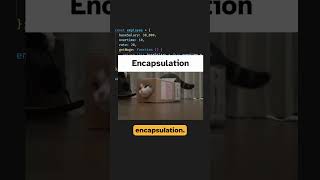 OOP Basics - Encapsulation in JavaScript