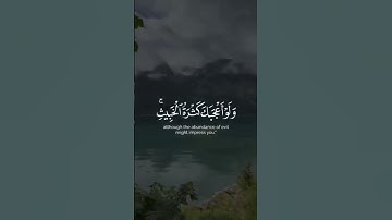 تلاوة خاشعة بصوت ماهر المعيقلي