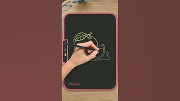 The Perfect Orange Slice 🍊