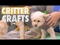 How To Make DIY Pet Sweaters | Critter Crafts