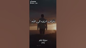 قرآن كريم ... سورة غافر الآية : 45