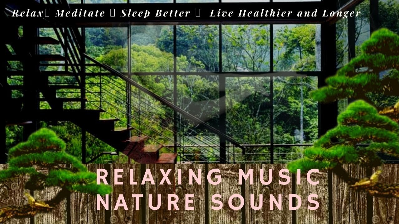 Jungle House MUSIC Nature Sounds Beautiful Rainforest Nature Sounds jungle-house-music-nature-sounds-beautiful-rainforest-nature-sounds