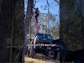 Building A Livable Treehouse PT1