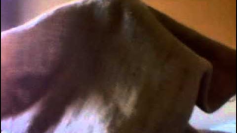 Re: Hello My Name Is: Barq Dogg