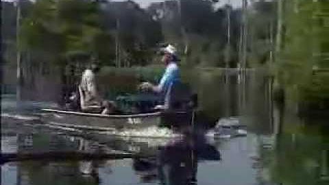 Funny Video. Unluckiest Man Alive?