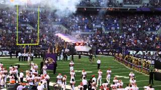 2011 Baltimore Ravens