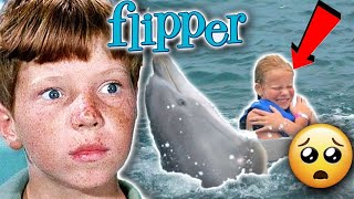 2024 The TRAGIC ACCIDENT That ENDED 'FLIPPER' for Good