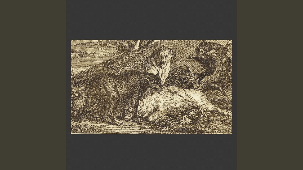 Guarda Relief su YouTube Guarda Relief su YouTube