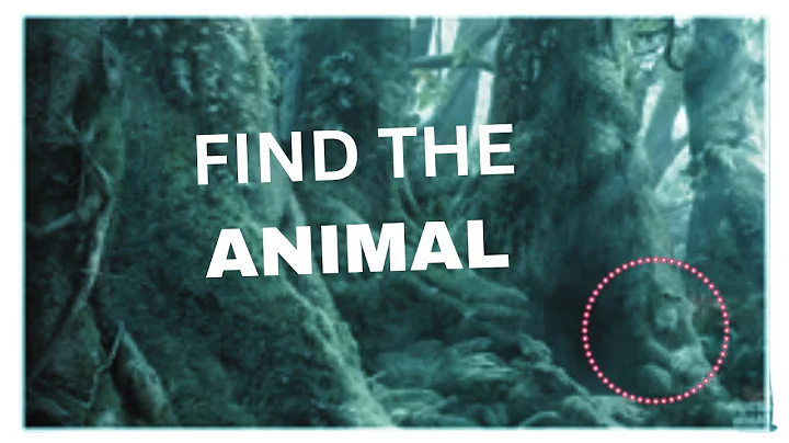 🔍🐾 Find The Hidden Animals! 🐒🦊 Can You Spot Them All? 👀🧠 | Animal Eye Test Challenge