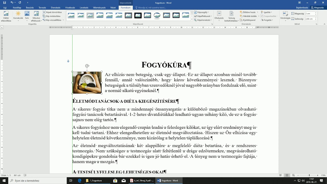 fogyókúra informatika érettségi