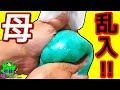 【スライムDIY】巨大ぷるぷる冷えピタスライム!そこに母登場でとんでもなかった..液体モンスター