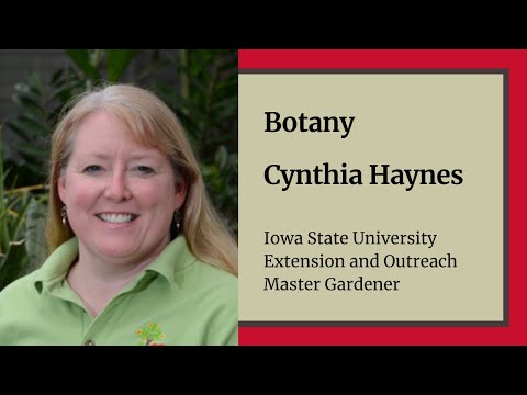 Botany - Master Gardener Training - Cynthia Haynes