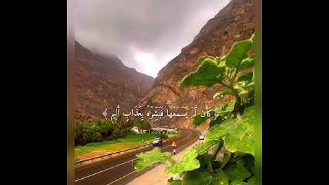 تلاوة عطرة من آيات الذكر الحكيم..