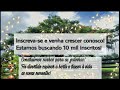 Construímos ninhos para galinhas e dei vida as novas sementes para a horta.