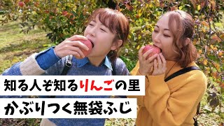 朝日町 知る人ぞ知るりんごの里 かぶりつく無袋ふじ Youtube