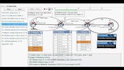 OSPF Stub Area Simulation - Animate LSA, LSDB, routing table (3.1)