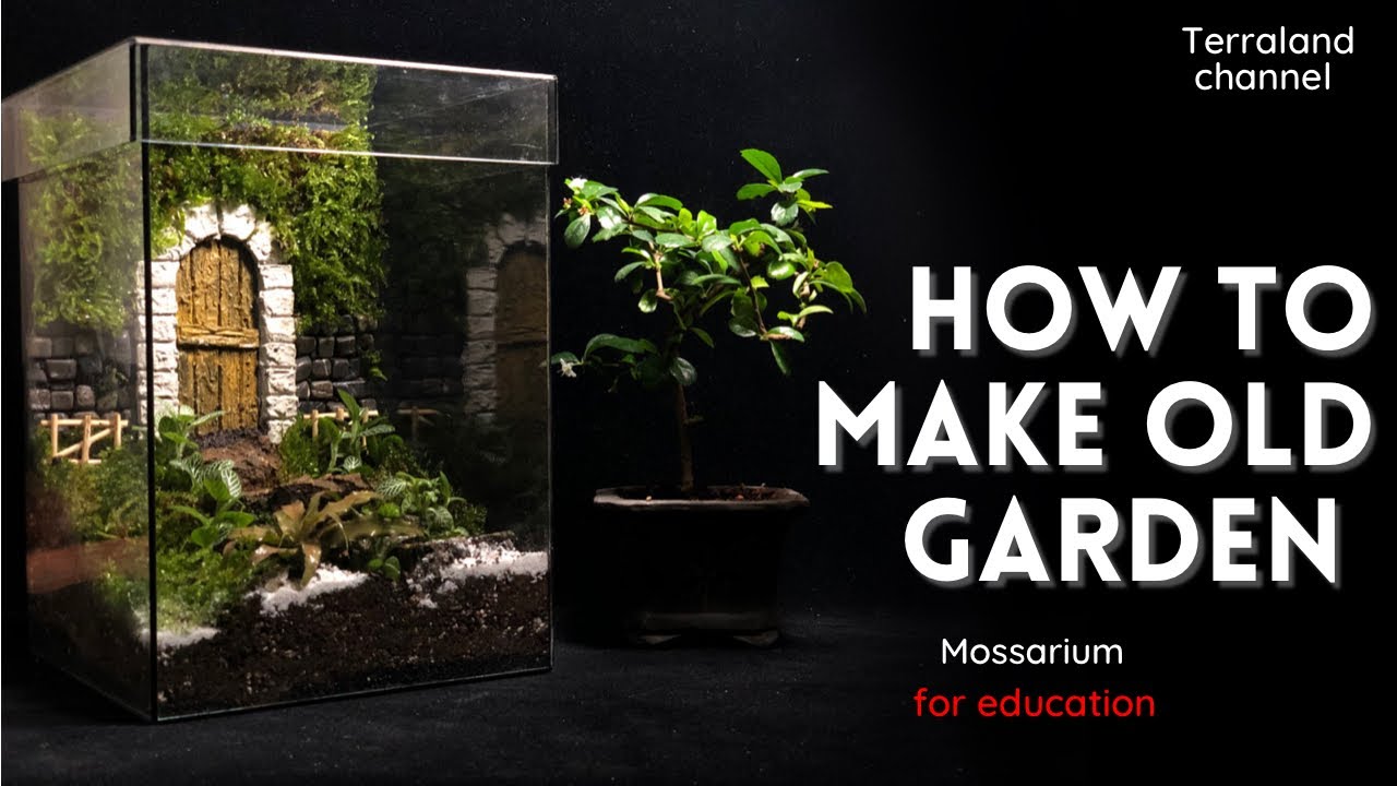 How to Create a Terrarium with Moss – 46 & Spruce