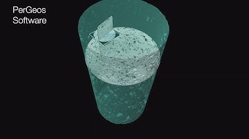 PerGeos Software | Multiscale visualization and porosity analysis of a carbonate core plug