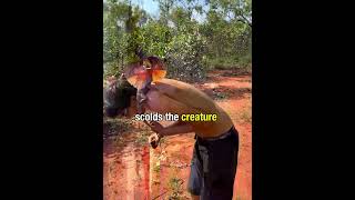 The frilled lizard attacked this man.