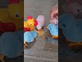 ASMR satisfying little chicks and their mommy playing and eating #chicken #chicks #duck #ducktoys