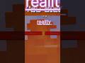 (expectation vs reality in Minecraft shorts) #shorts
