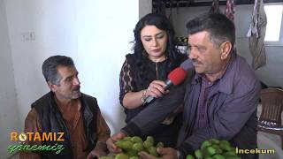 Alanya İncekum Mahallesi