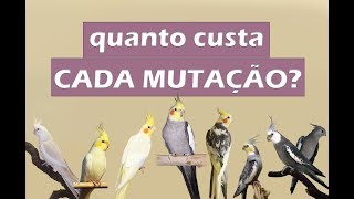 Quanto custa cada mutação de calopsita?