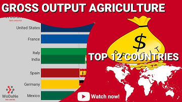 TOP 12 countries by Gross Output Agriculture