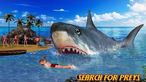 Shark.io game part 4 - DaNi MC Gaming