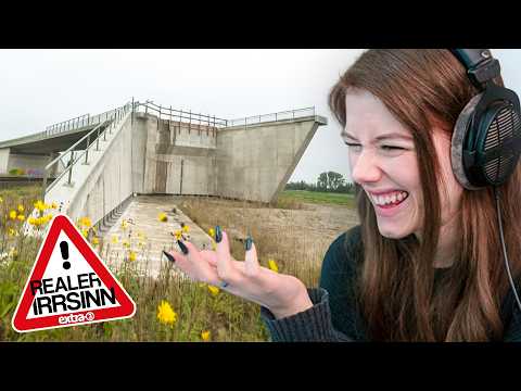 Diese Brücke hat KEINE Auffahrt? | Mayu reagiert auf Realer Irrsinn
