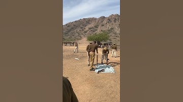 firing at firing range #firing #youtube #ajeetpolice