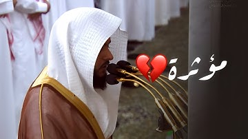 تلاوة مبكية ومؤثرة لخواتيم سورة النمل | التسليمة الأولى | د. عبدالله القرافي من تهجد ليلة 23-9-1445