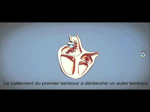 Vidéo: Comment Fonctionne Votre Cœur