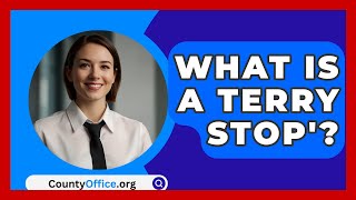What Is A Terry Stop? - Countyoffice