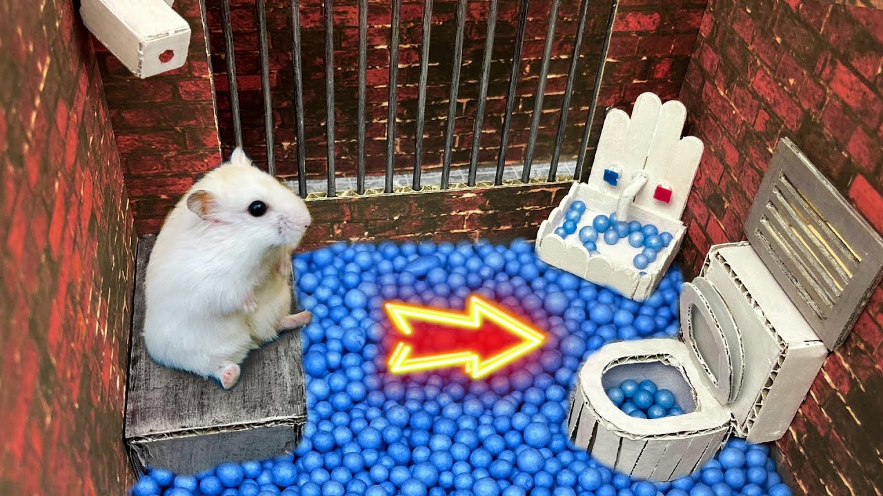 Канал хомячка. Hamster Escape. Sofi Hamster. ��Hamster Escapes the Awesome 5-Star Luxury Prison Maze with Bathtub🐹 for Pets in real Life. Hamster Maze with Traps 😱Minecraft World! Chasing Hamsters 😱[obstacle course].