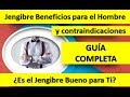 Jengibre Beneficios para el Hombre [Guía Completa] Beneficios y Contraindicaciones del Jengibre