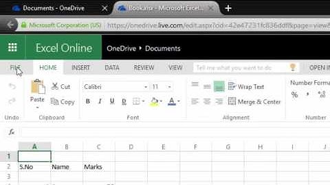Embed Excel File in Blog / Website : How to