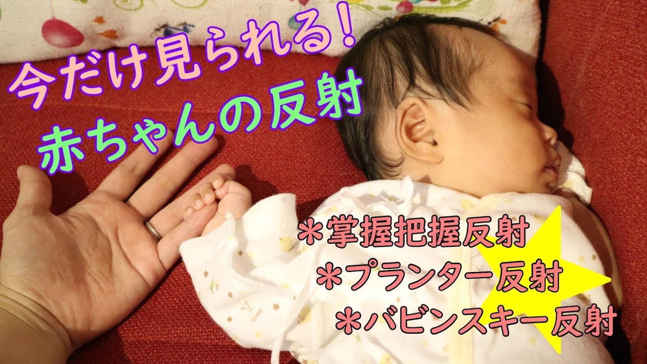 生後1ヶ月 意外と知らない 赤ちゃんのかわいい反射 Vlog Cute Reflection Of Baby Youtube 生後1ヶ月 意外と知らない 赤ちゃんのかわいい反射 Vlog Cute Reflection Of Baby Youtube